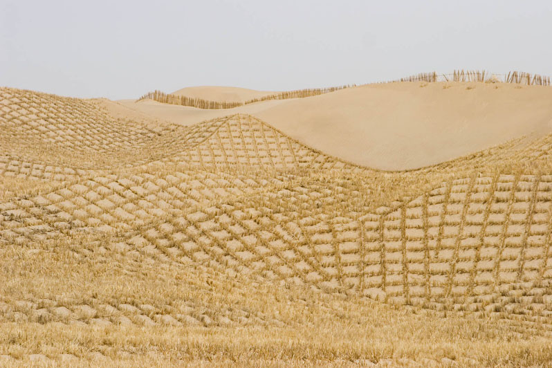 10_Desert Control, (257)